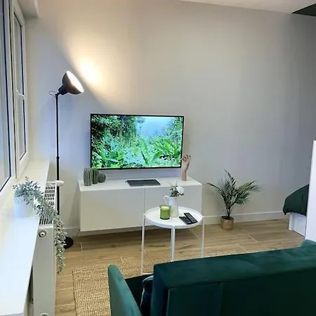Apartment Touch - Fibre*near Basel*cosy